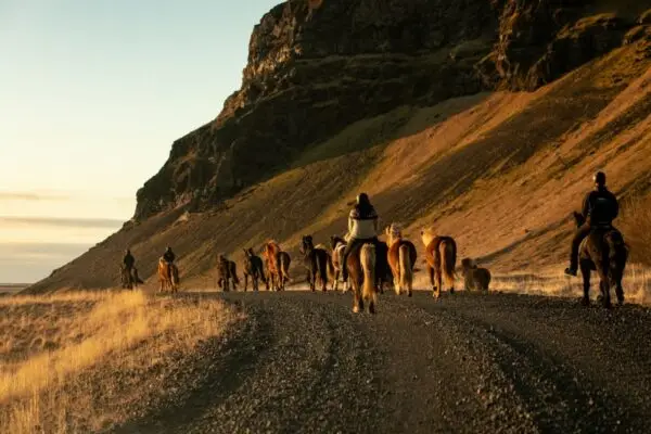 Iceland Ring Road vs Guided Tours – Relax in the heart of Iceland's scenic countryside.