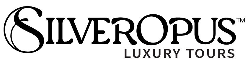 logo dark